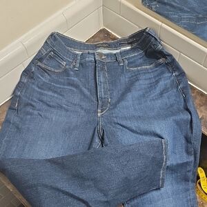 Banana Republic Curvy High-Rise Skinny Jeans in Deep Blue